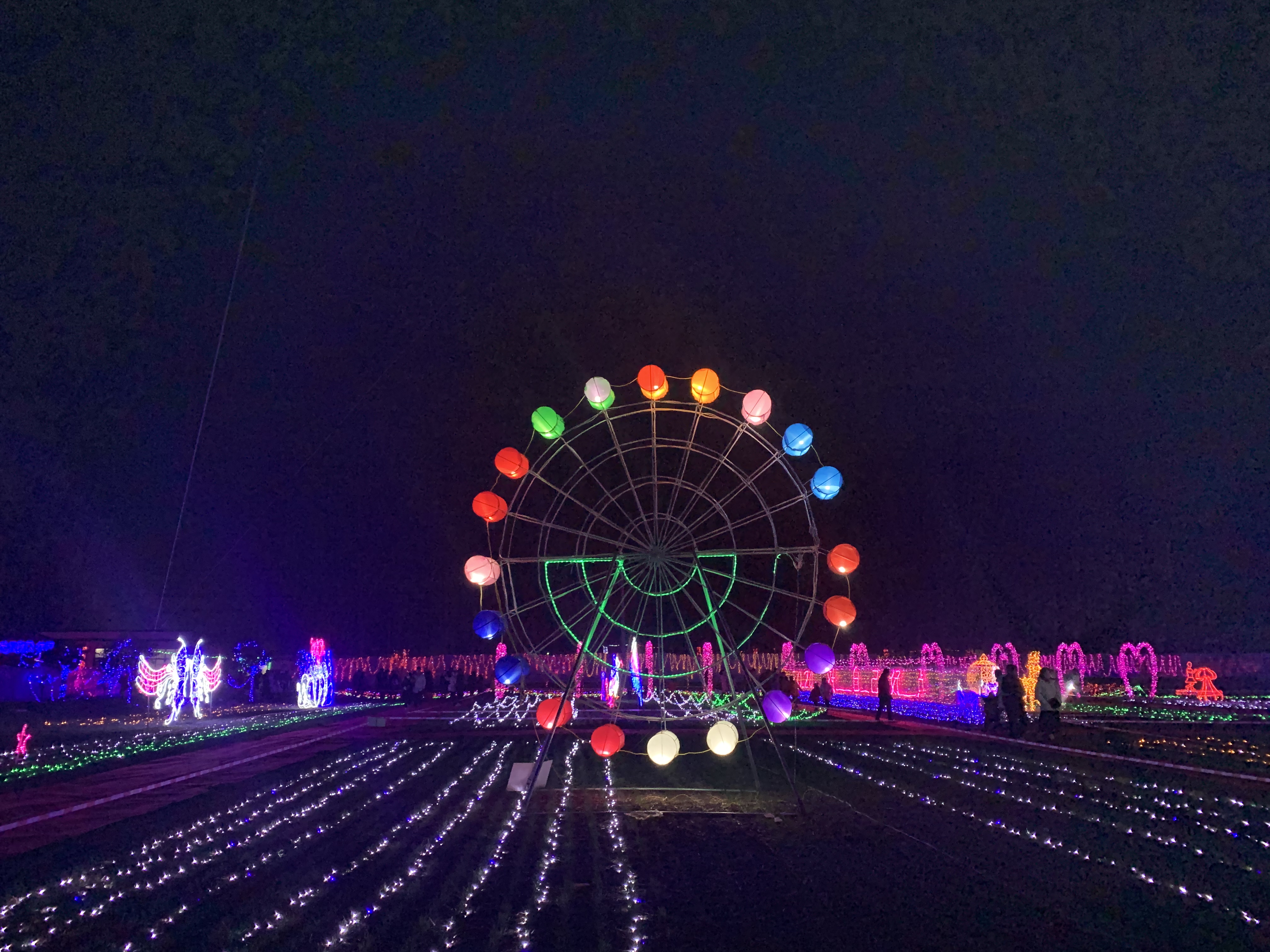 LED光雕造型设计 梦幻灯光节 夜游人气活动