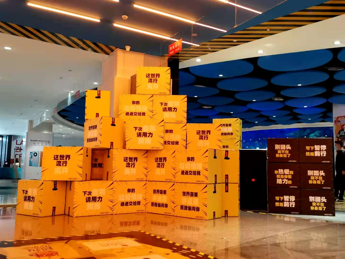 敢潮不赶潮