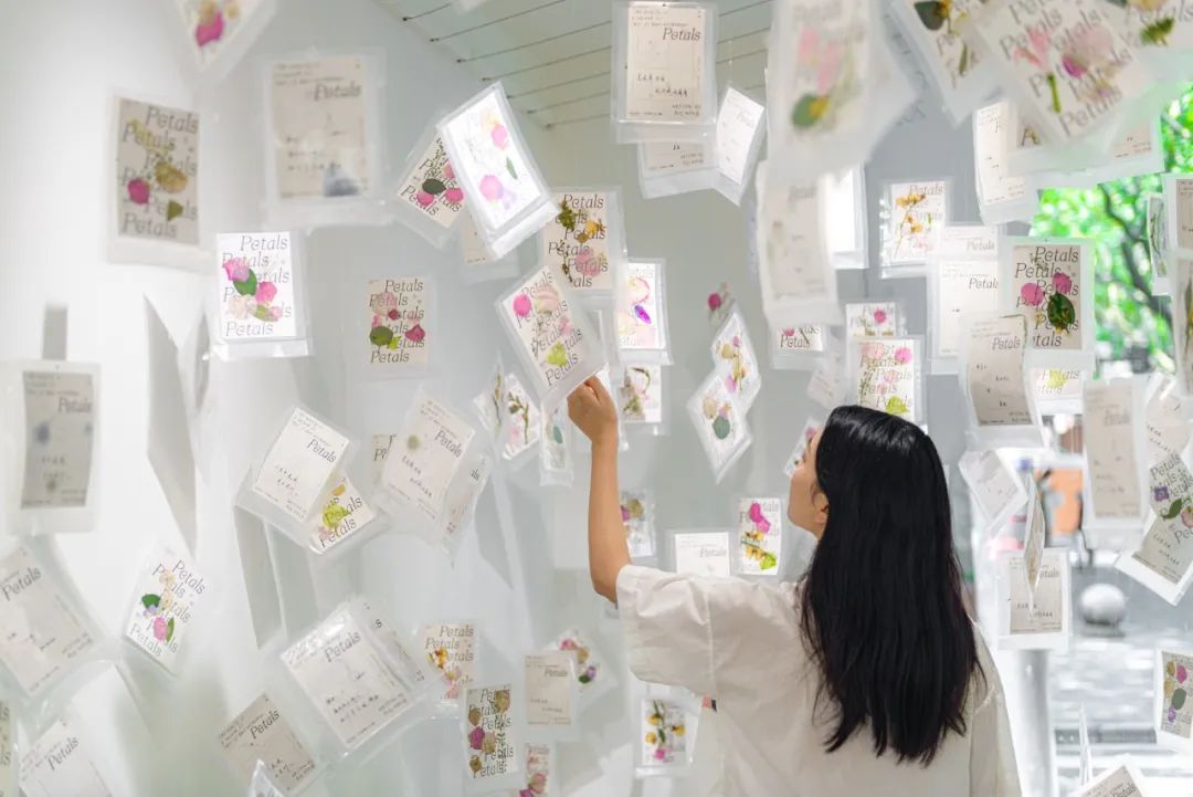《花瓣》王源MV延伸创意展