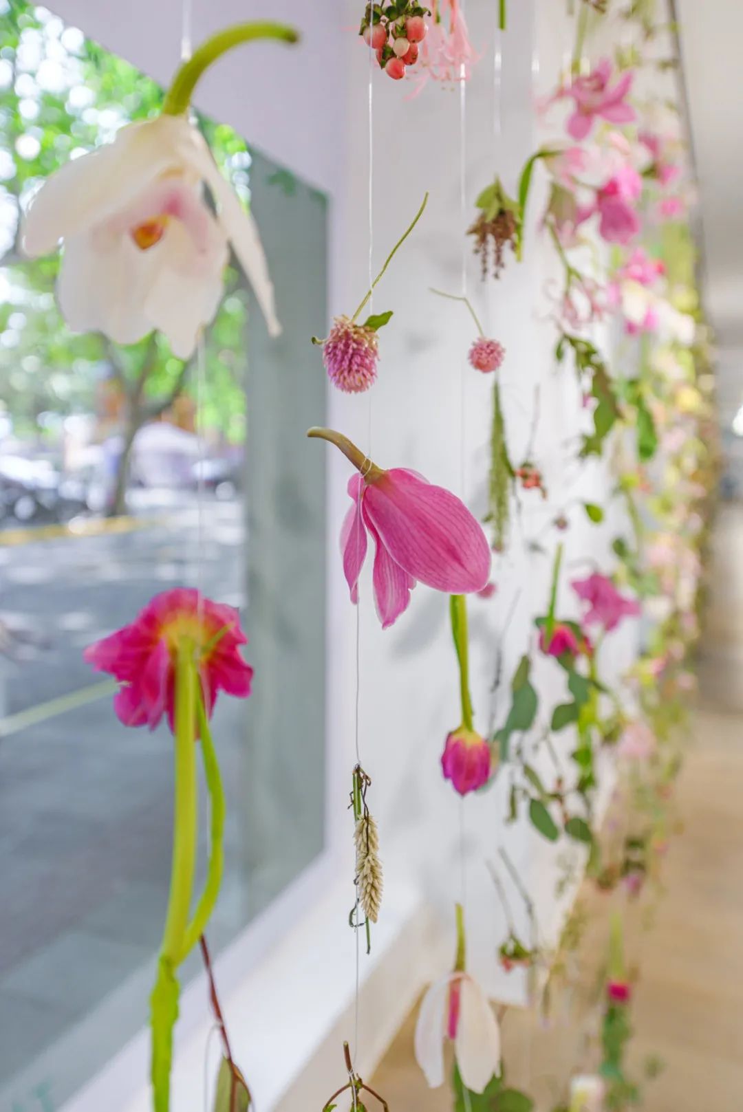 《花瓣》王源MV延伸创意展