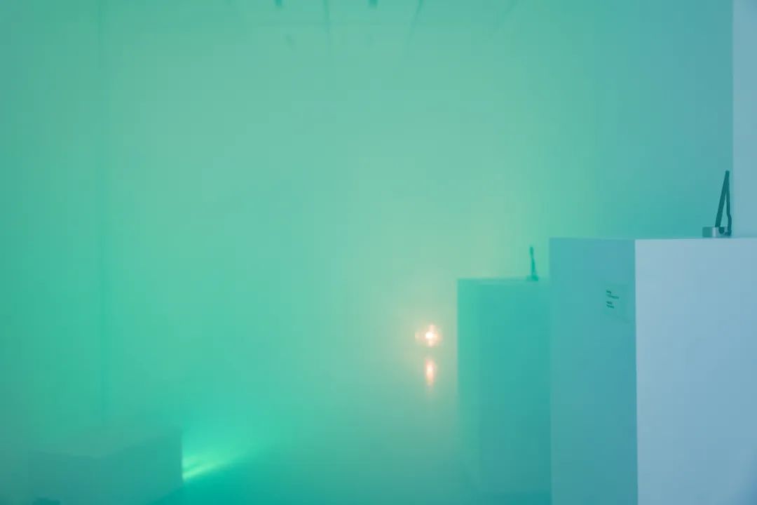 《花瓣》王源MV延伸创意展