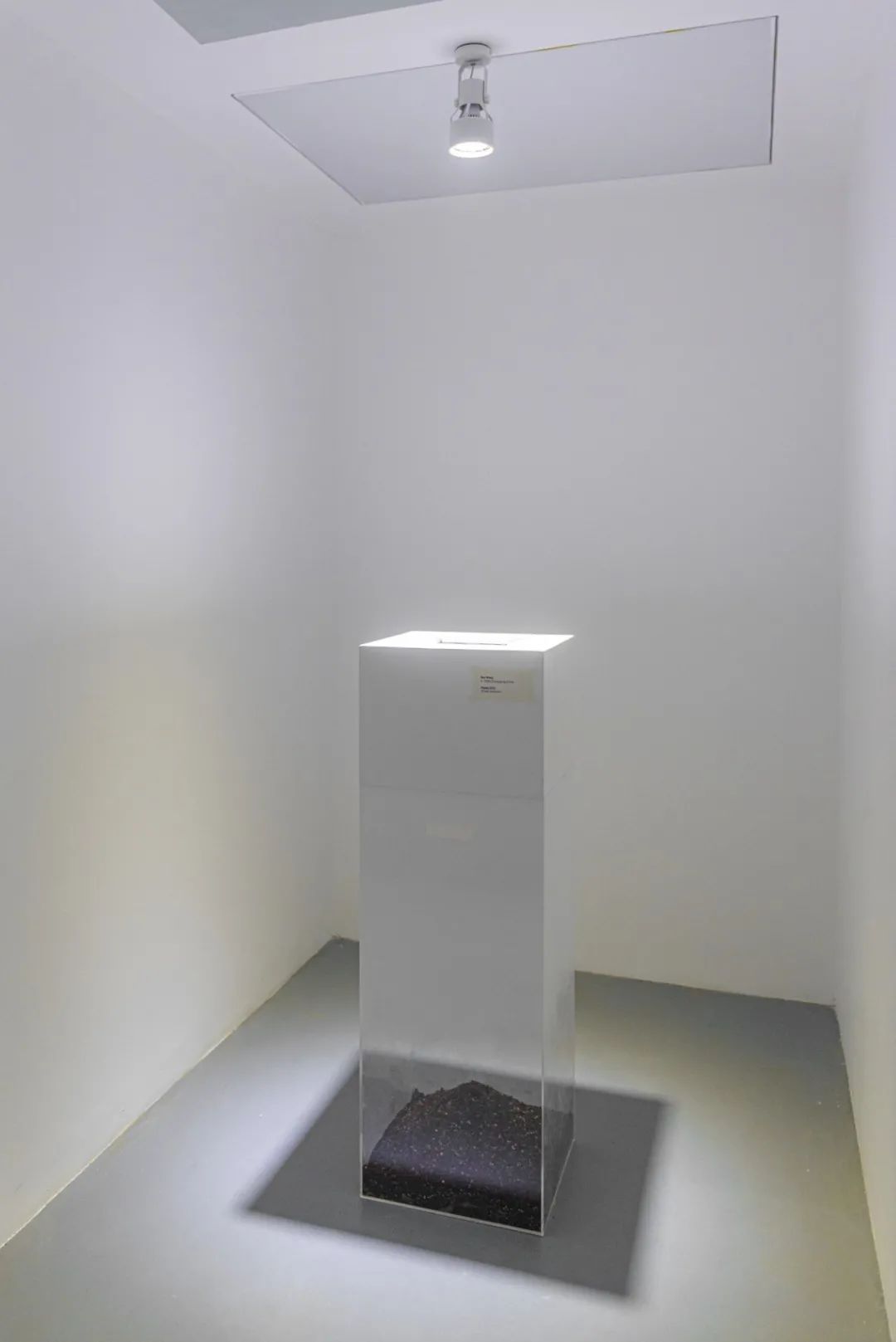 《花瓣》王源MV延伸创意展