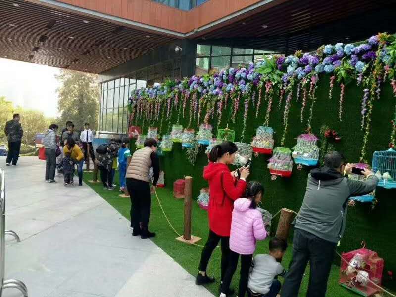 百鸟园主题活动 租赁百鸟展资源 鹦鹉表演出租