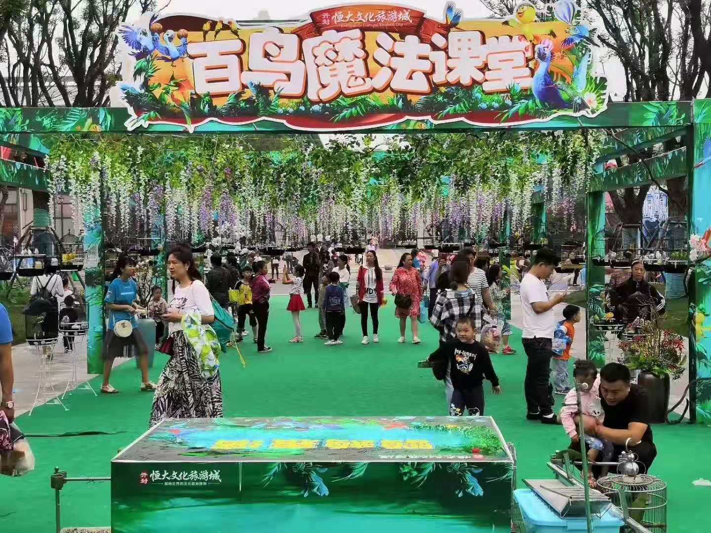 百鸟园主题活动 租赁百鸟展资源 鹦鹉表演出租