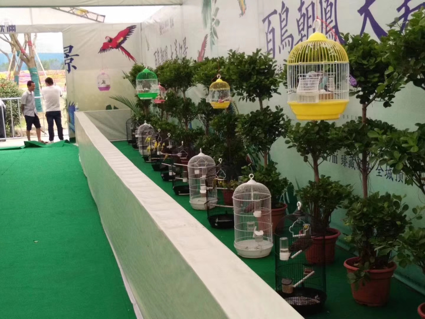 百鸟园主题活动 租赁百鸟展资源 鹦鹉表演出租