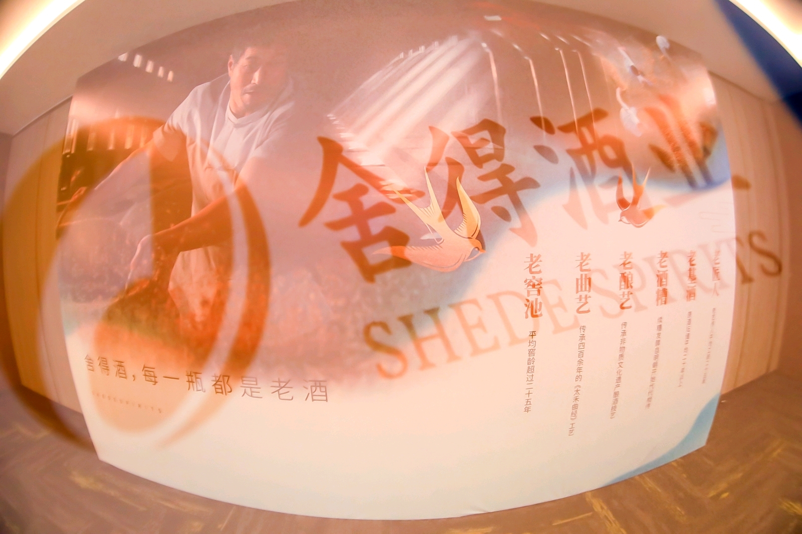 #优拍云摄影#照片直播-老酒醇香 舍得焕新 2021舍得老酒