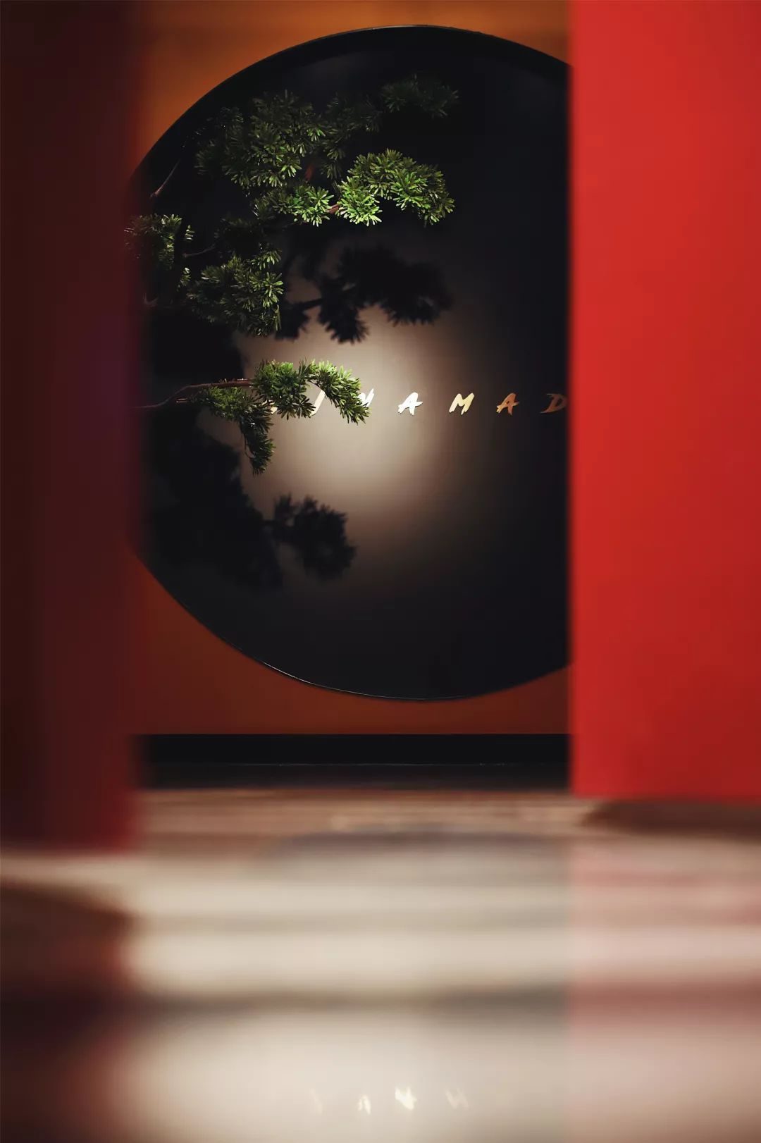 红双鱼 | 酸菜鱼主题品牌视觉形象设计