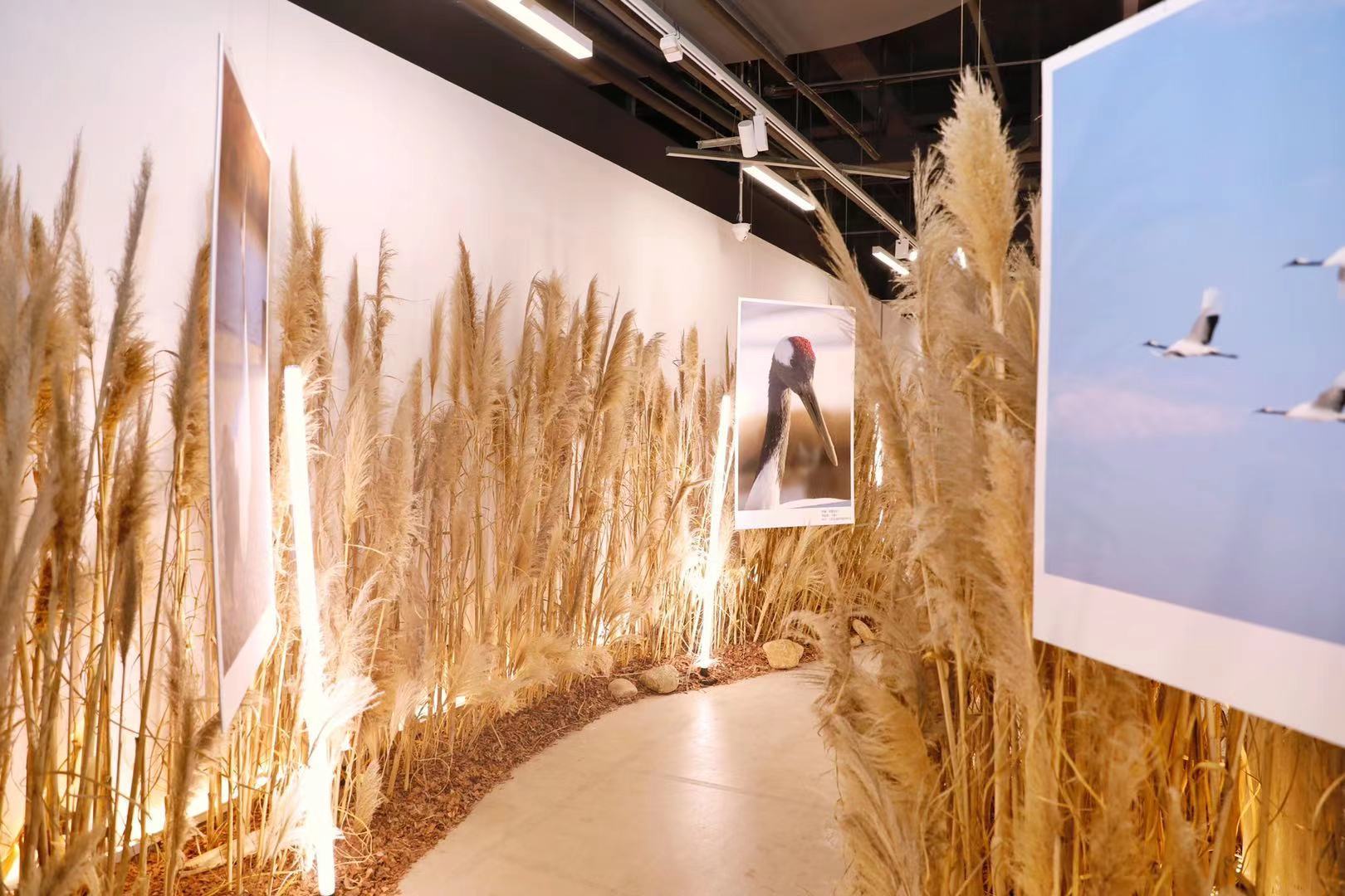 完美日记·陈漫「留住中国美色」影展