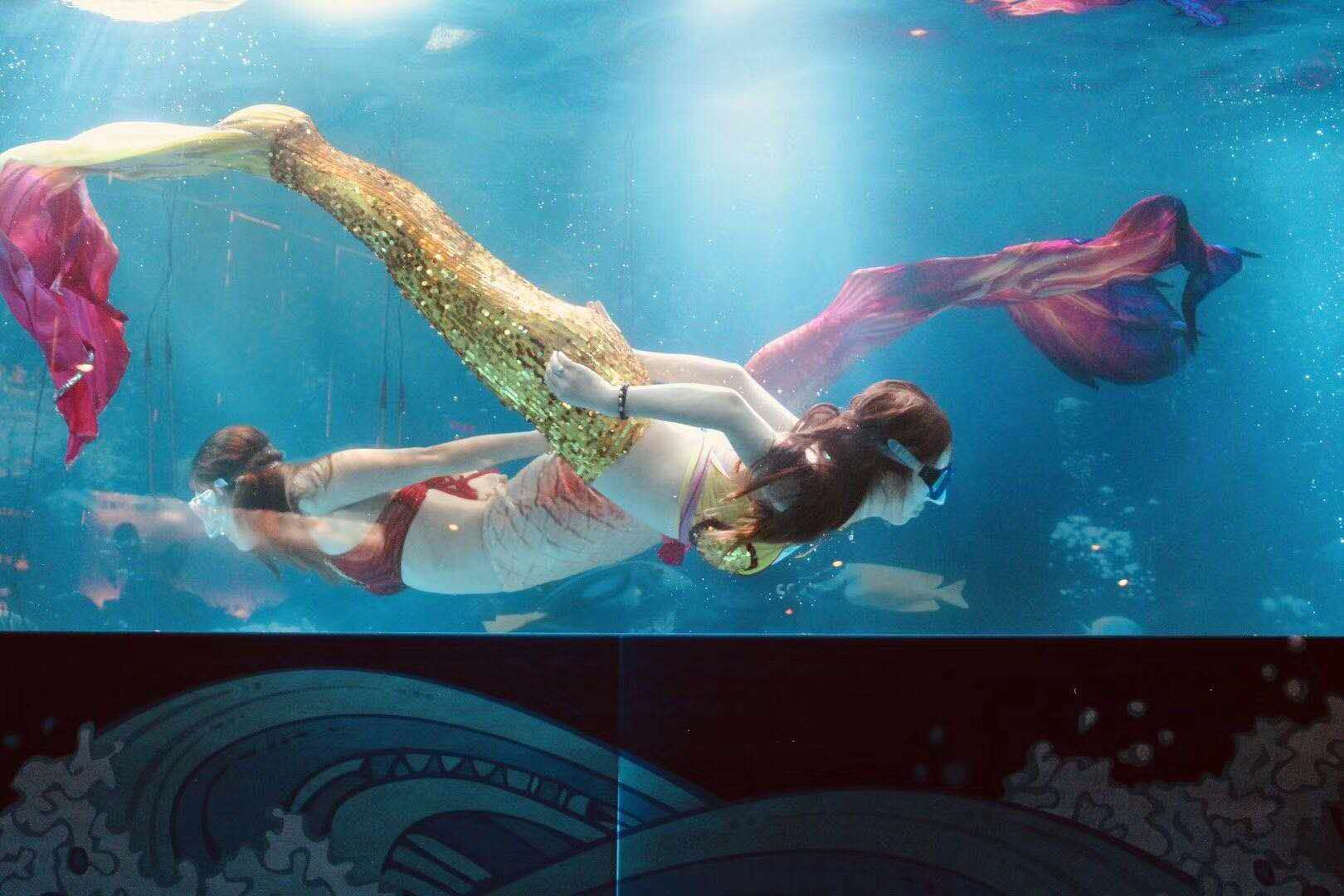 海洋主题活动 美人鱼表演 大型鱼缸展美人鱼展示出租