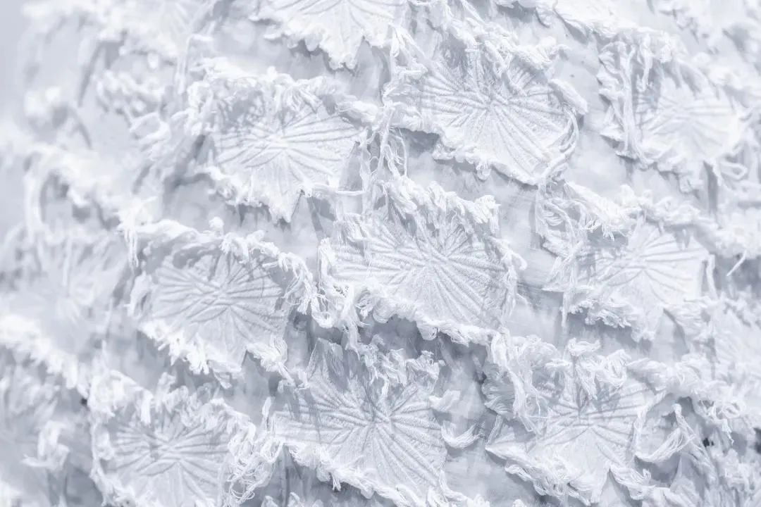 IEW.H 型·态 | 限时概念展