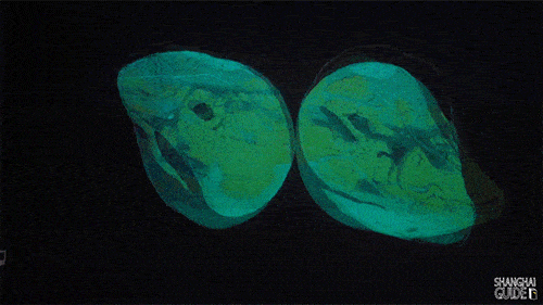 火星2035 沉浸式科学艺术展