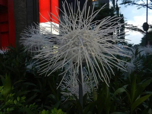 尼龙扎带的艺术