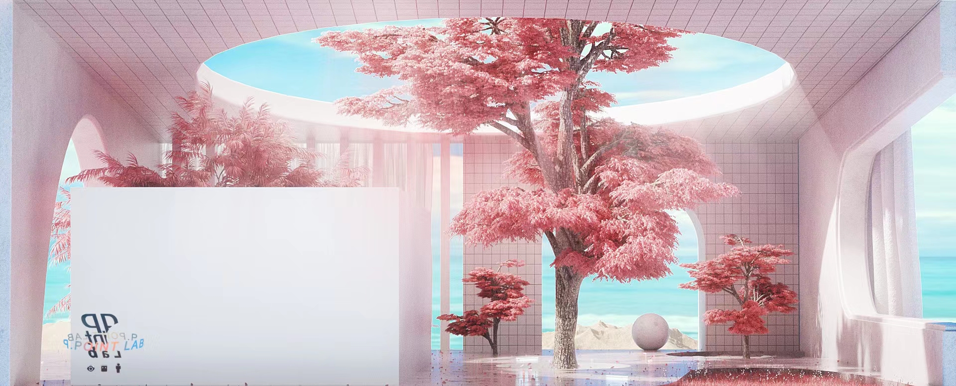 裸眼3D项目实拍剪辑