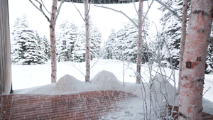 勃朗圣泉沉浸式雪屋体验展