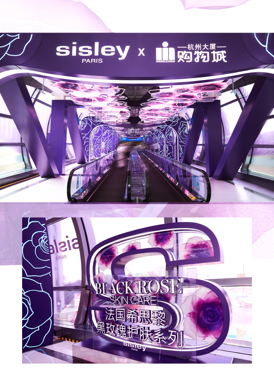 希思黎「爱予黑玫瑰」限定花海