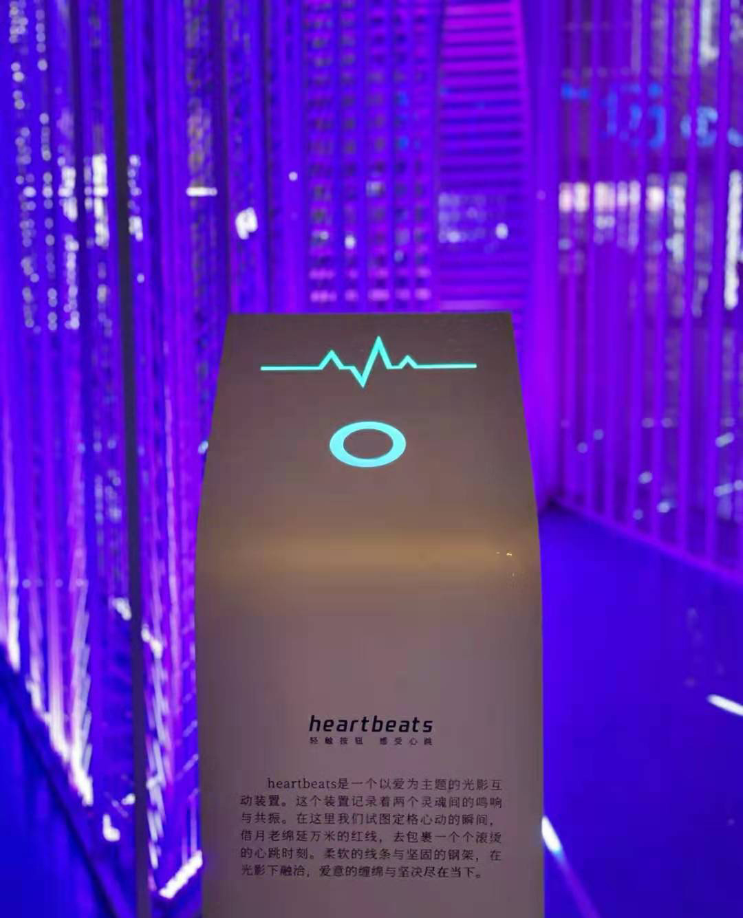 “爱是热，被爱是光”光影艺术展