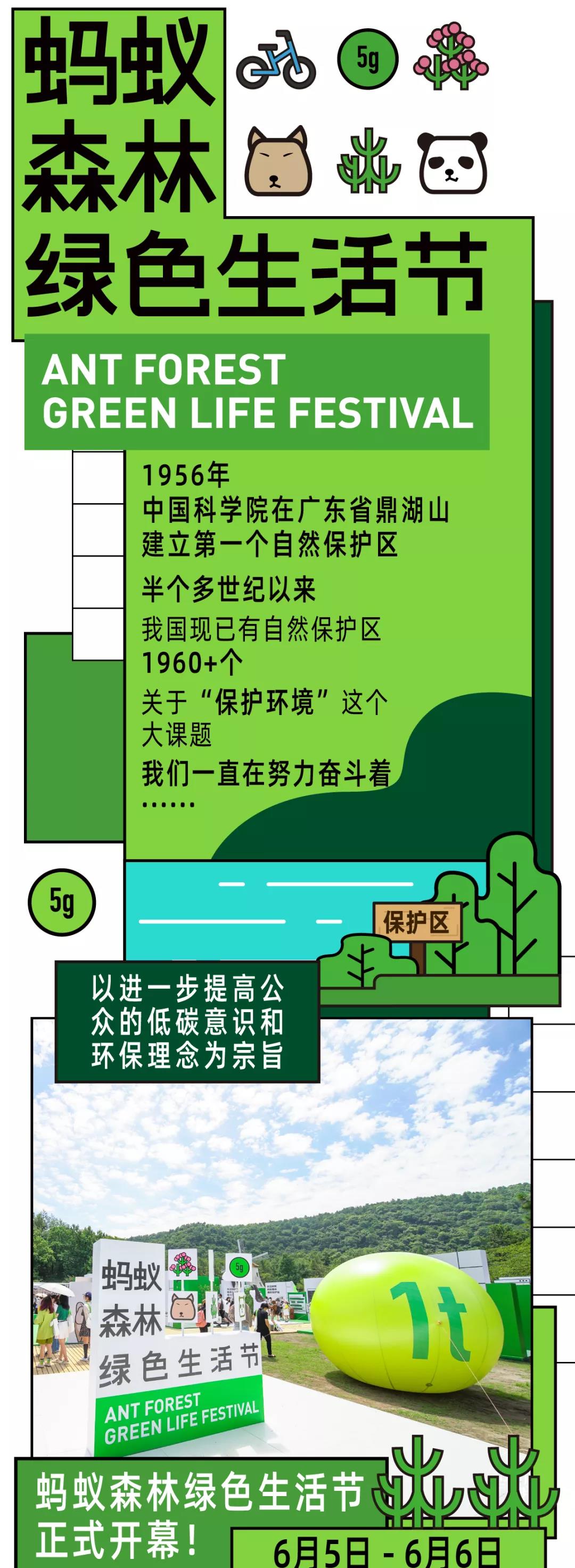 阿里巴巴集团｜蚂蚁森林绿色生活节