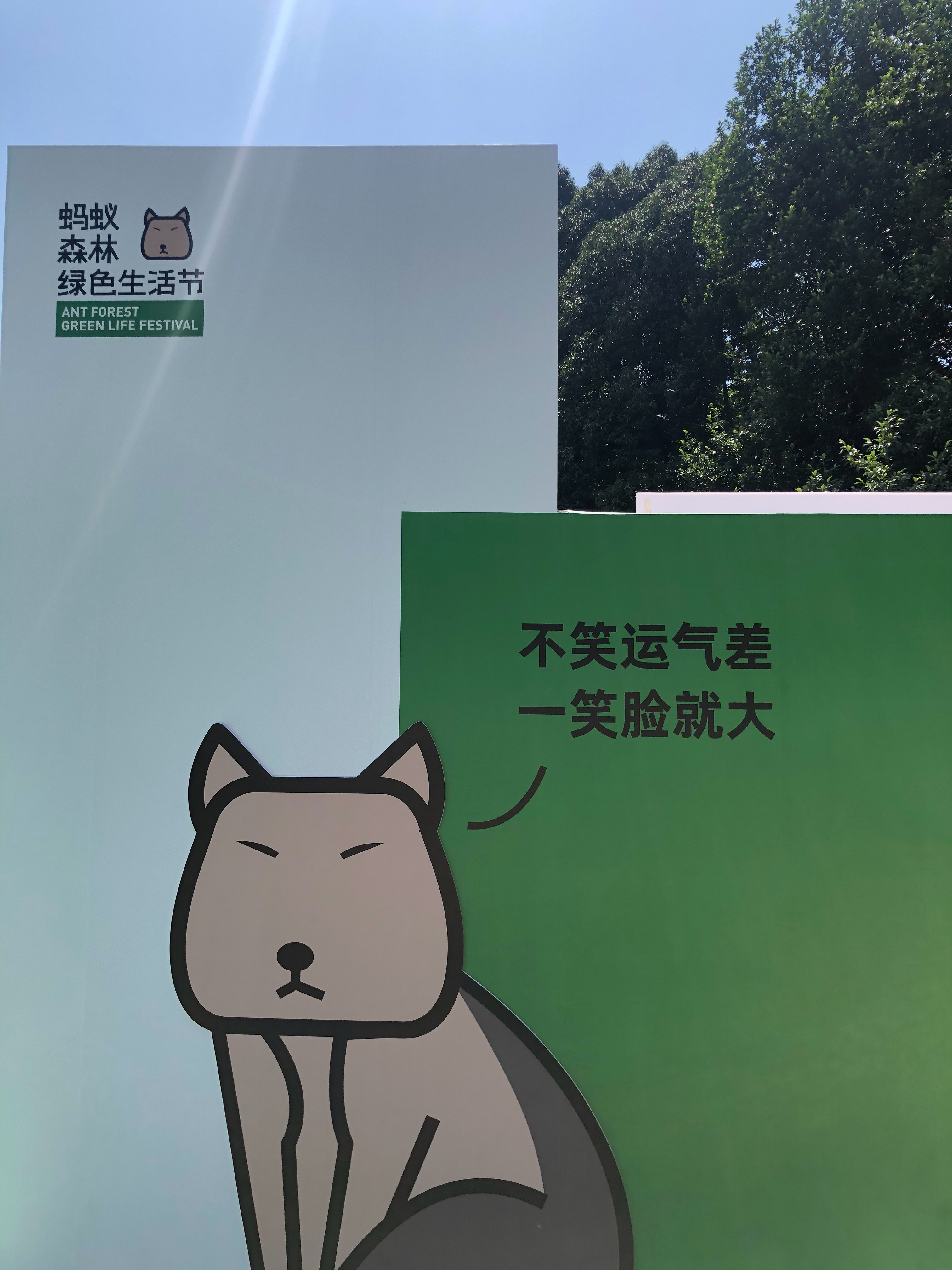 阿里巴巴集团｜蚂蚁森林绿色生活节
