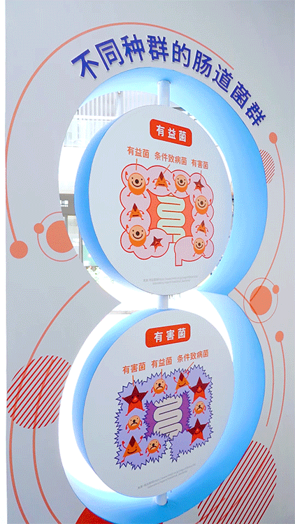 明治乳业“解锁乳酸菌之旅”趣味科普展览