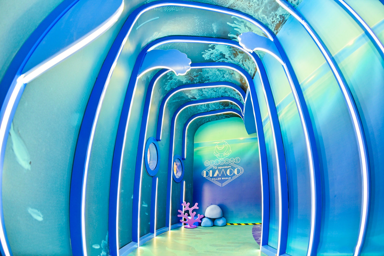 【潜入仲夏】DIMOO水族馆系列中国大陆首展