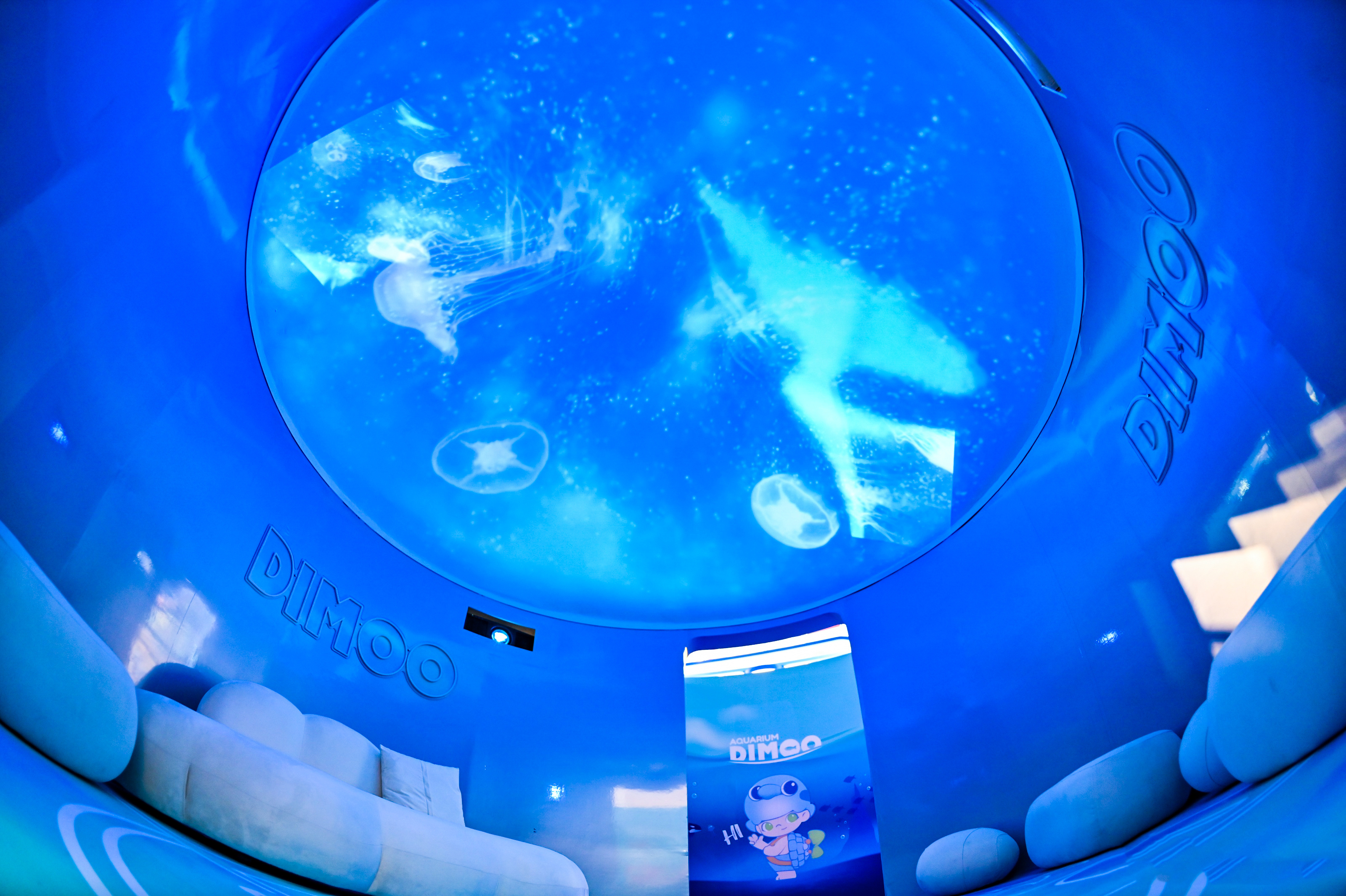 【潜入仲夏】DIMOO水族馆系列中国大陆首展