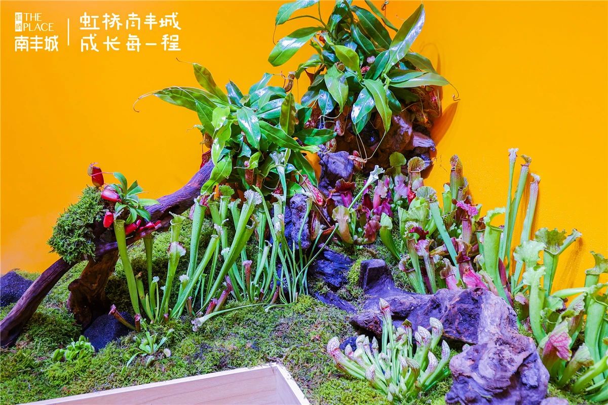 萌芽幼植园·植物工厂亲子研学展