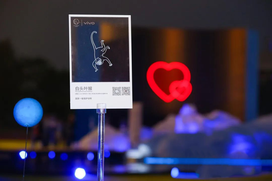 SAVE 1 HOUR·照亮蓝色生命世界 vivo公益活动