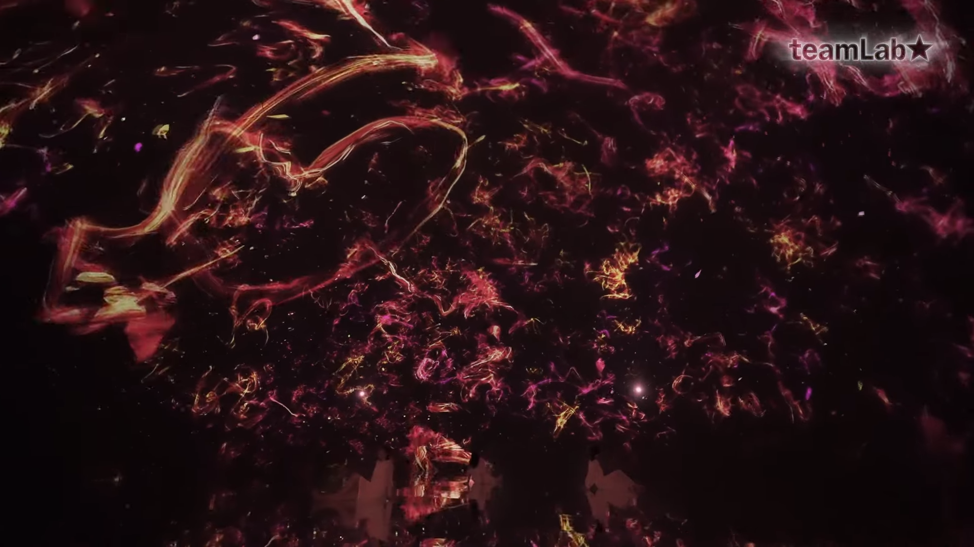 艺术集体teamlab  揭开“祈祷”展览