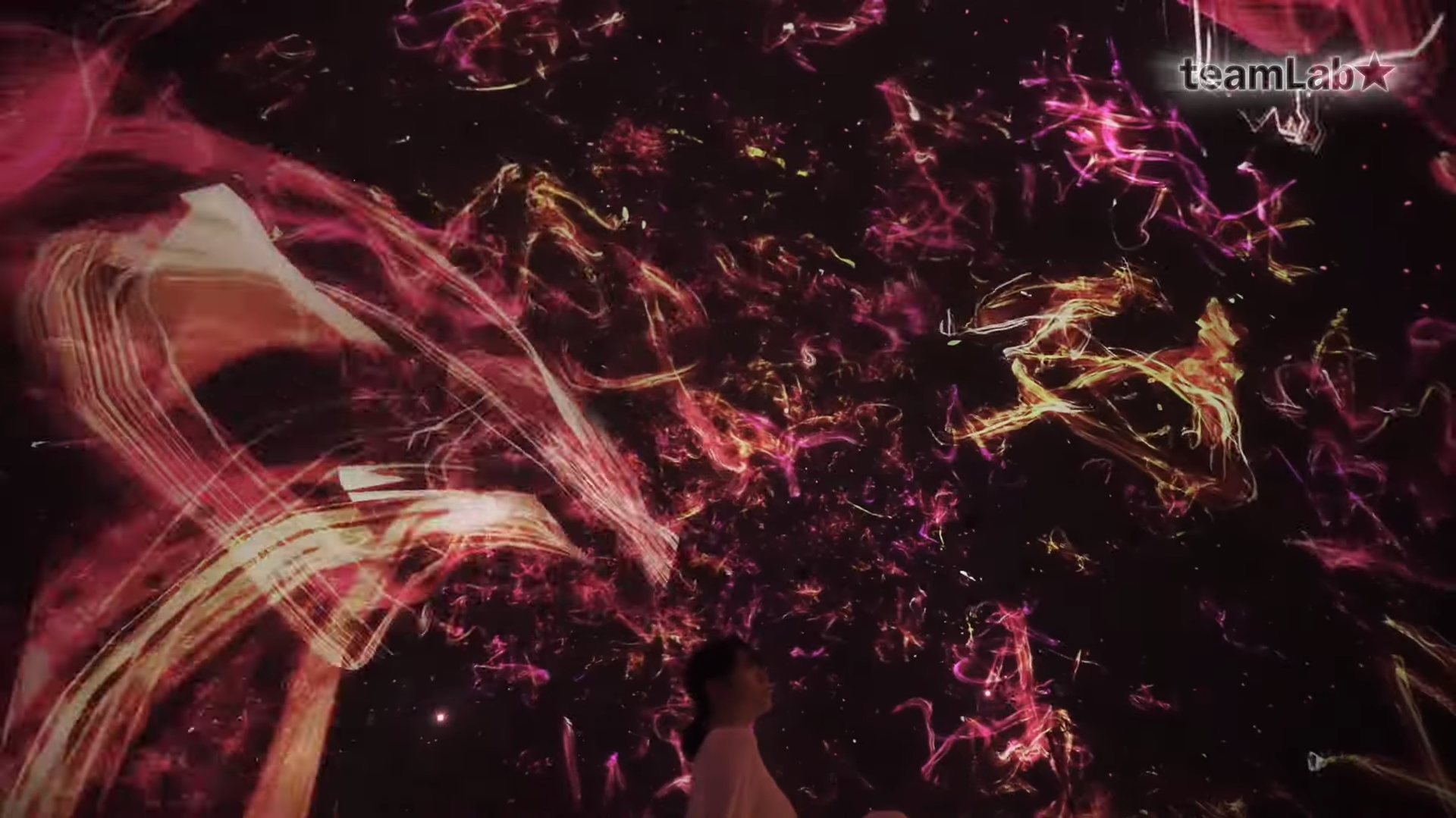 艺术集体teamlab  揭开“祈祷”展览