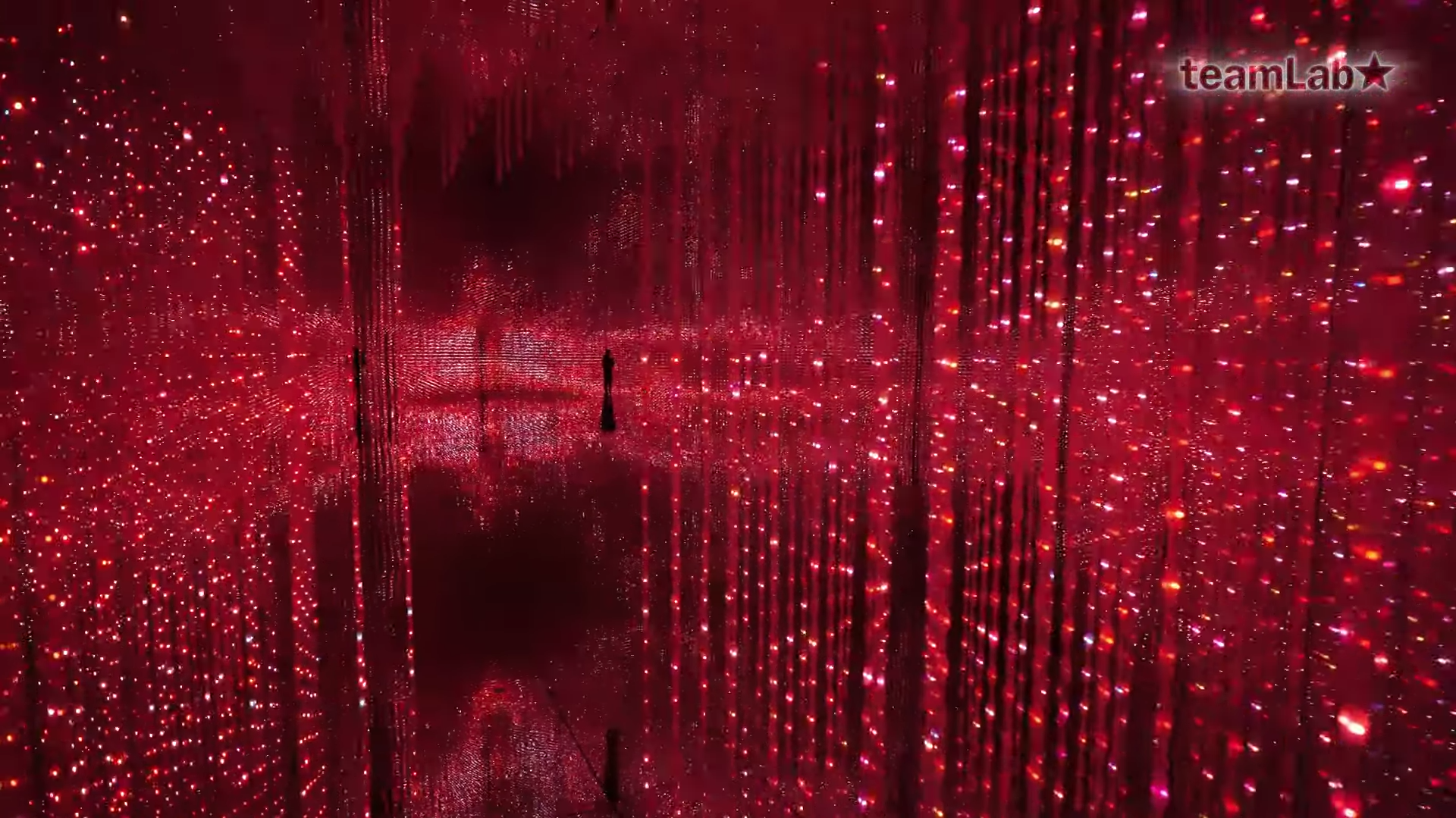 艺术集体teamlab  揭开“祈祷”展览