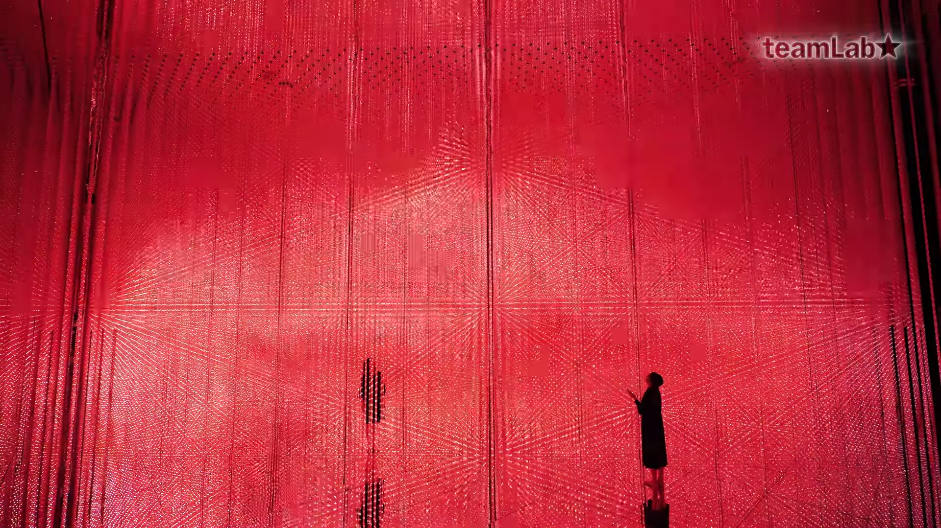 艺术集体teamlab  揭开“祈祷”展览