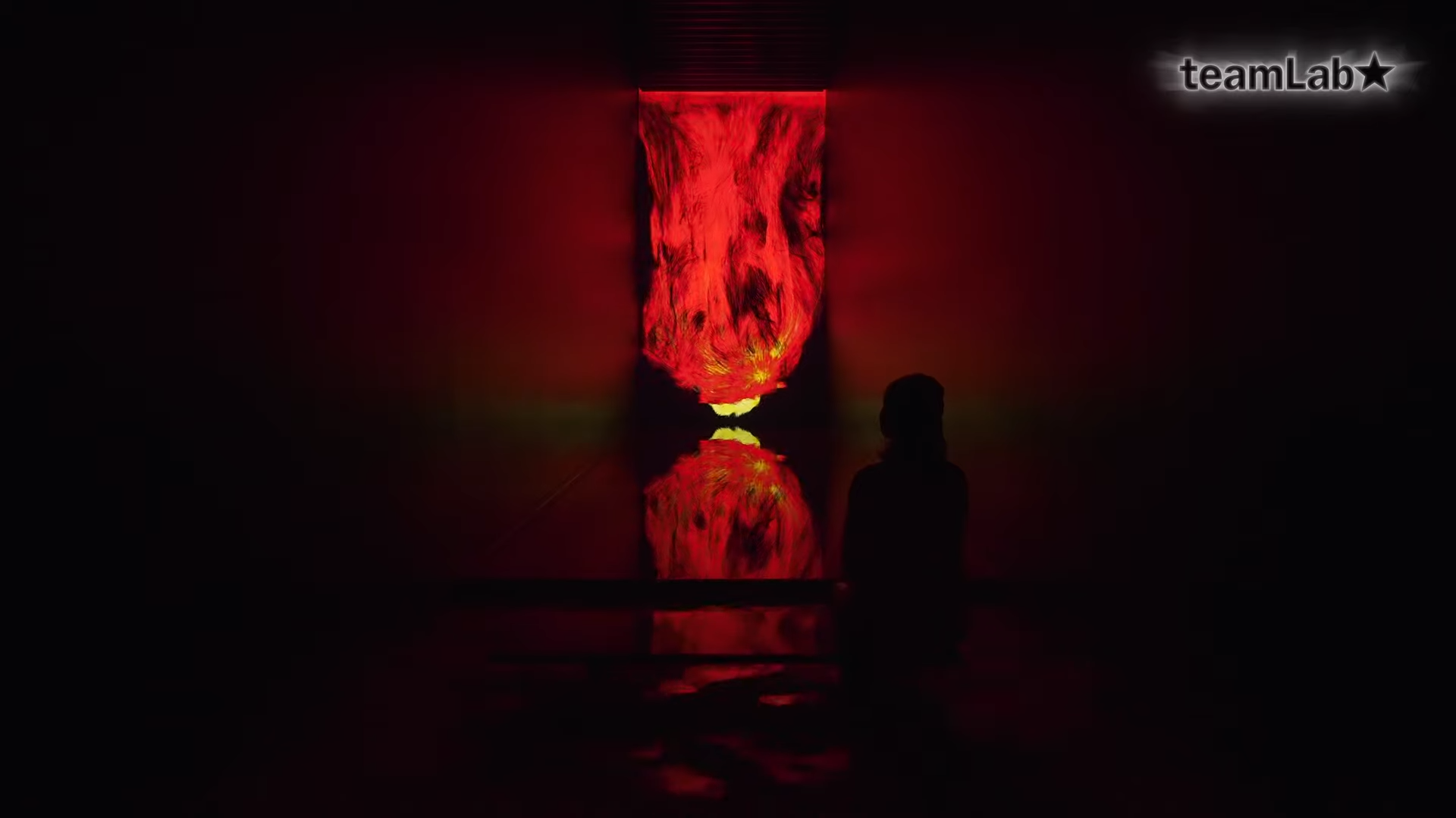 艺术集体teamlab  揭开“祈祷”展览