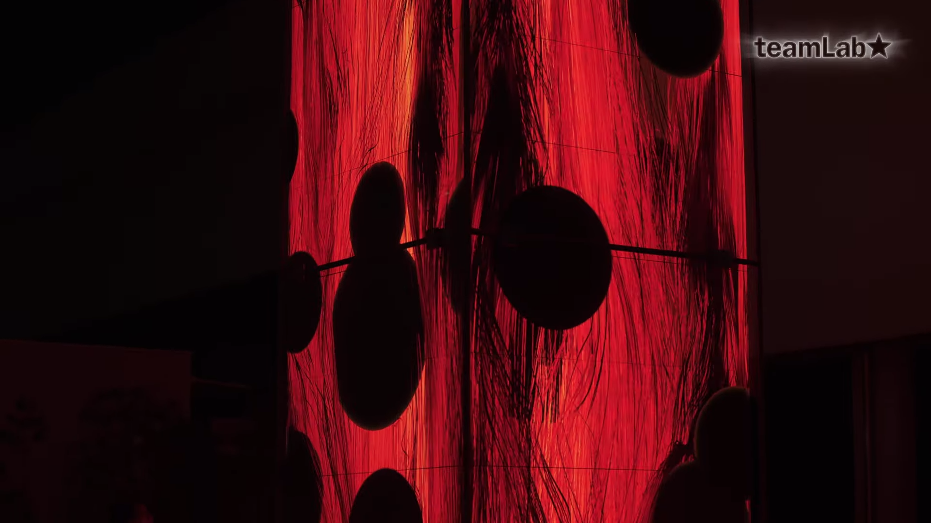 艺术集体teamlab  揭开“祈祷”展览