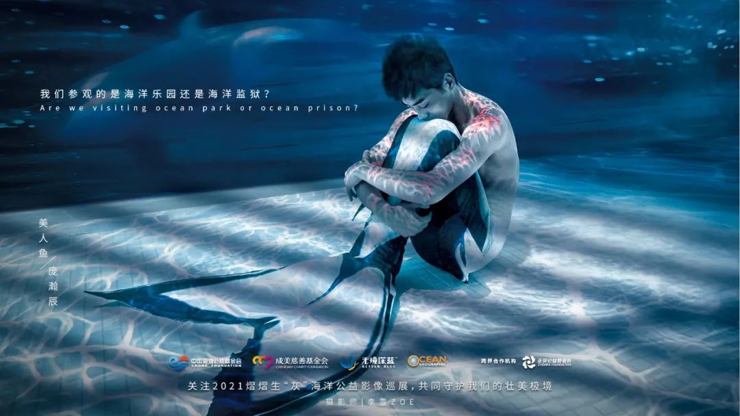 “熠熠生灰x壮美极境”海洋公益影像巡展