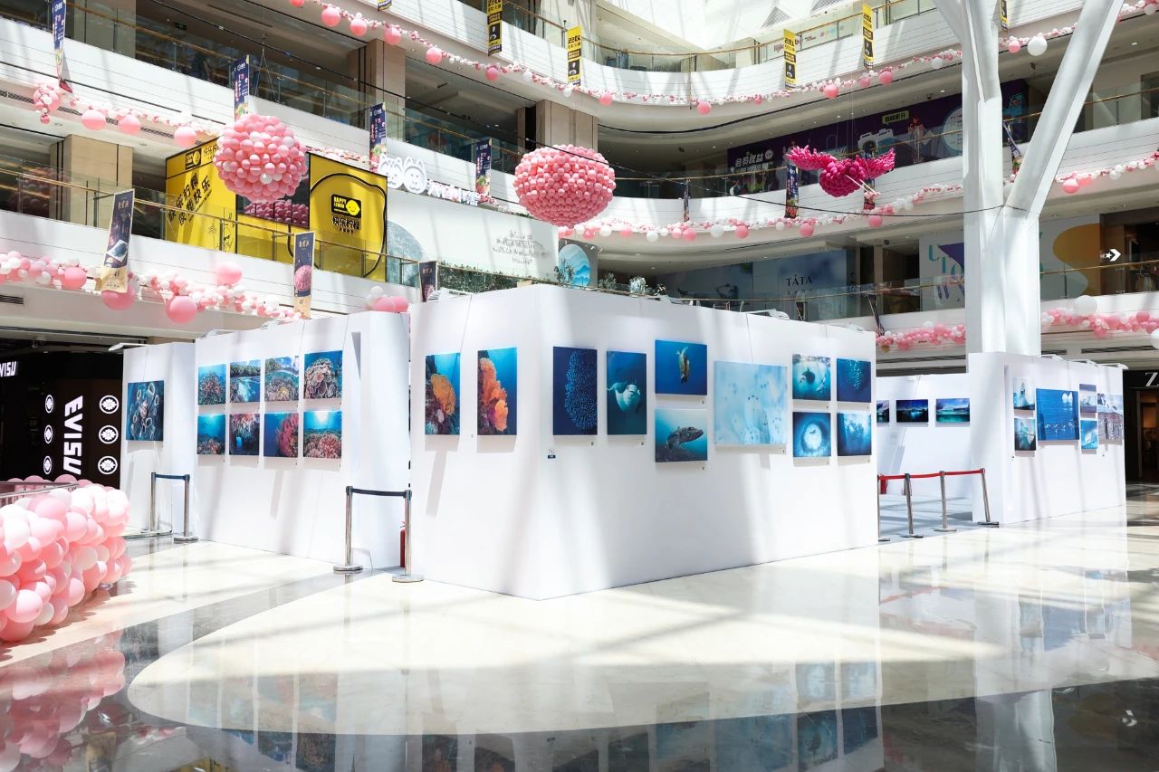 “熠熠生灰x壮美极境”海洋公益影像巡展