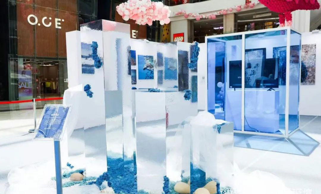 “熠熠生灰x壮美极境”海洋公益影像巡展