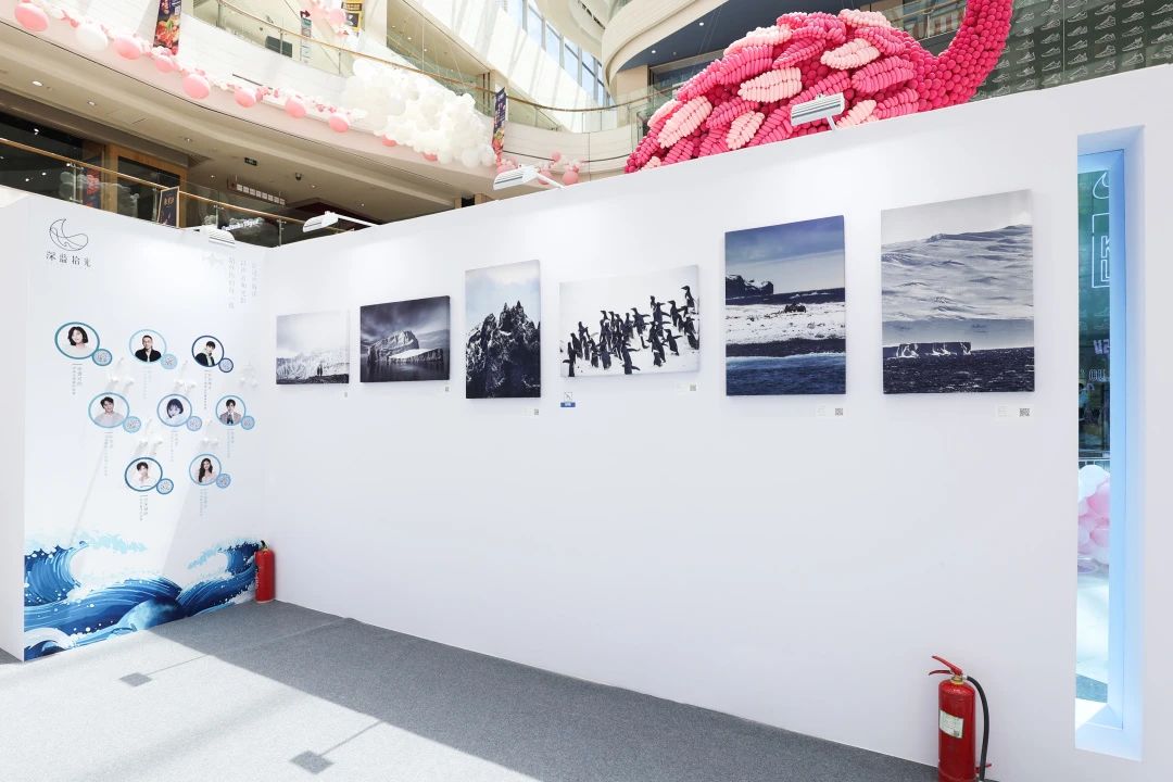 “熠熠生灰x壮美极境”海洋公益影像巡展