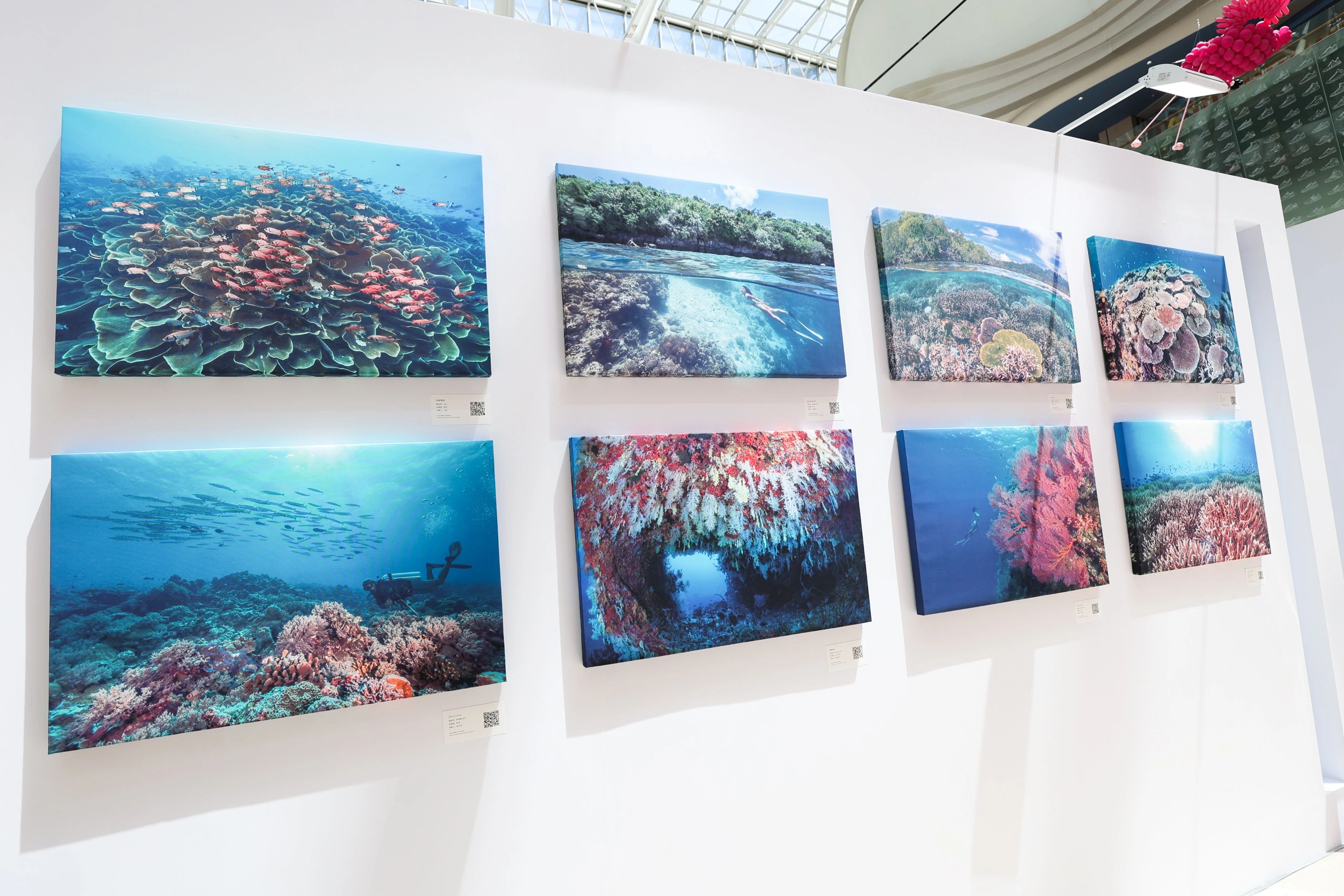 “熠熠生灰x壮美极境”海洋公益影像巡展