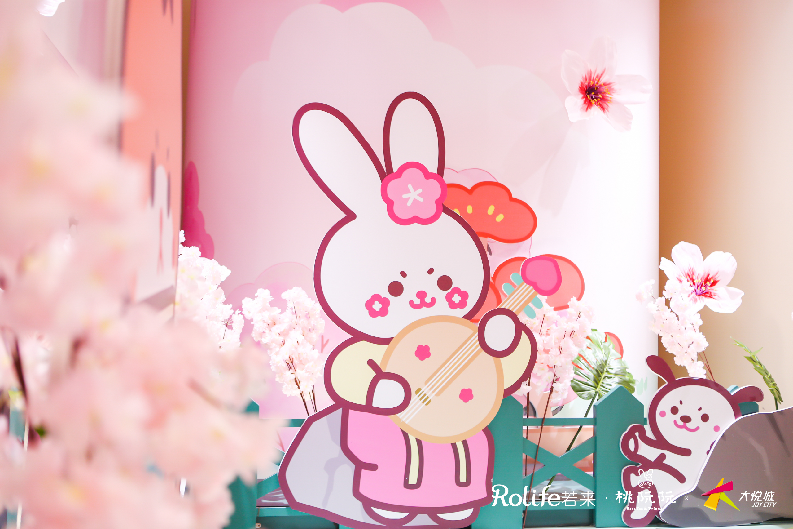 桃阮阮 · 忽逢桃花里主题展