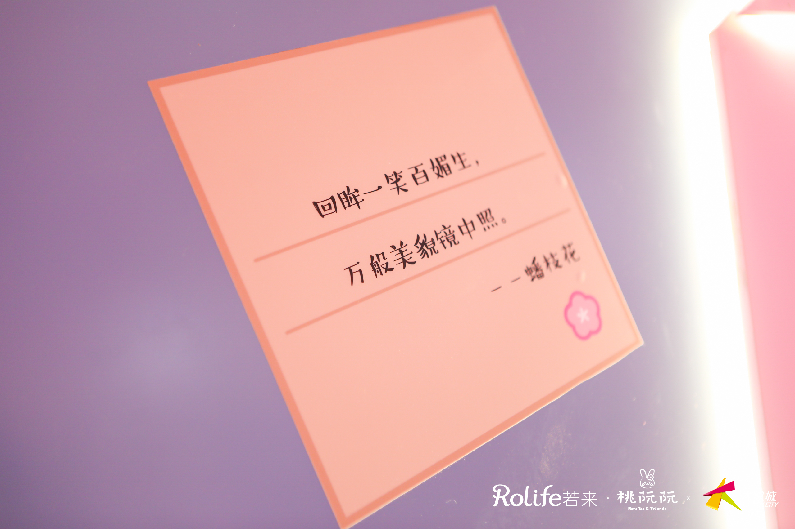 桃阮阮 · 忽逢桃花里主题展