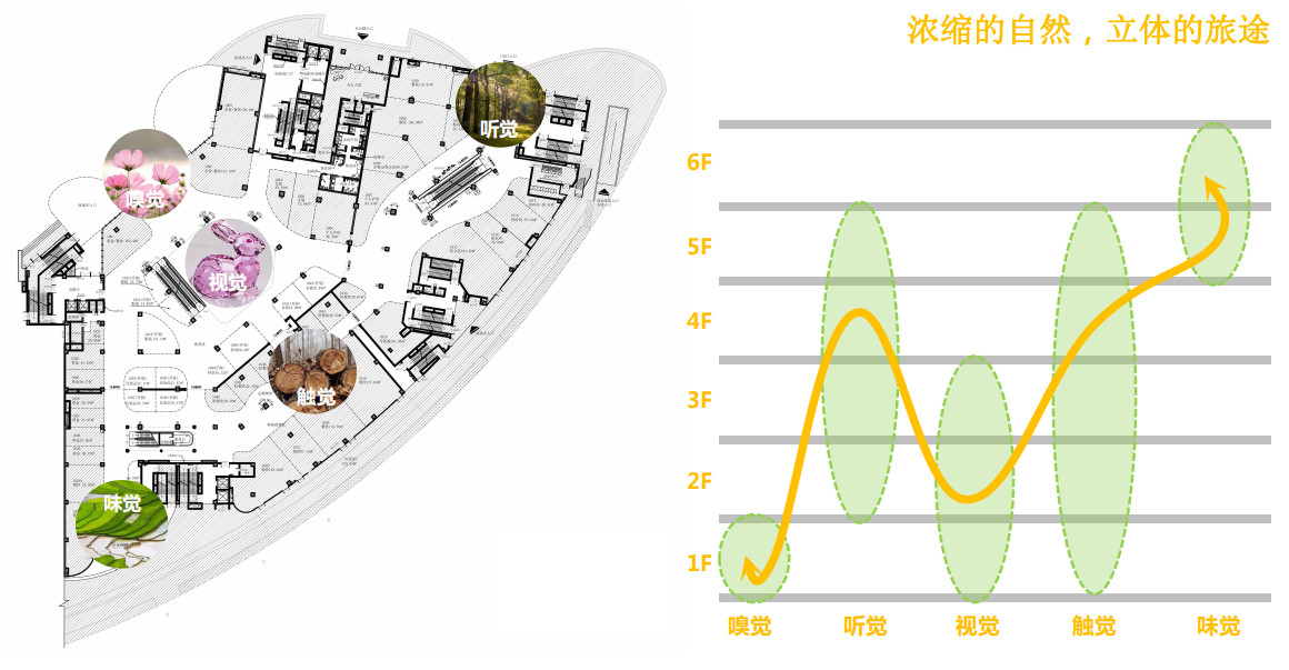 美陈与网红商业价值都是如何搭上线的？