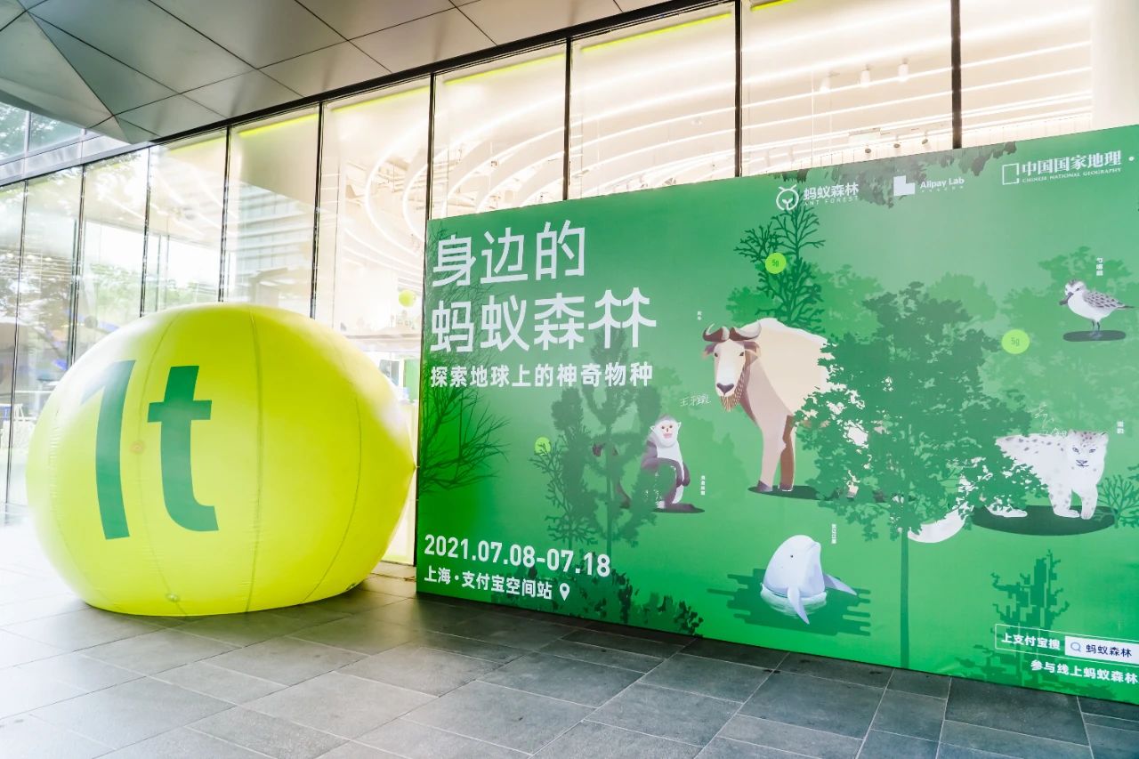 “身边的蚂蚁森林”体验展