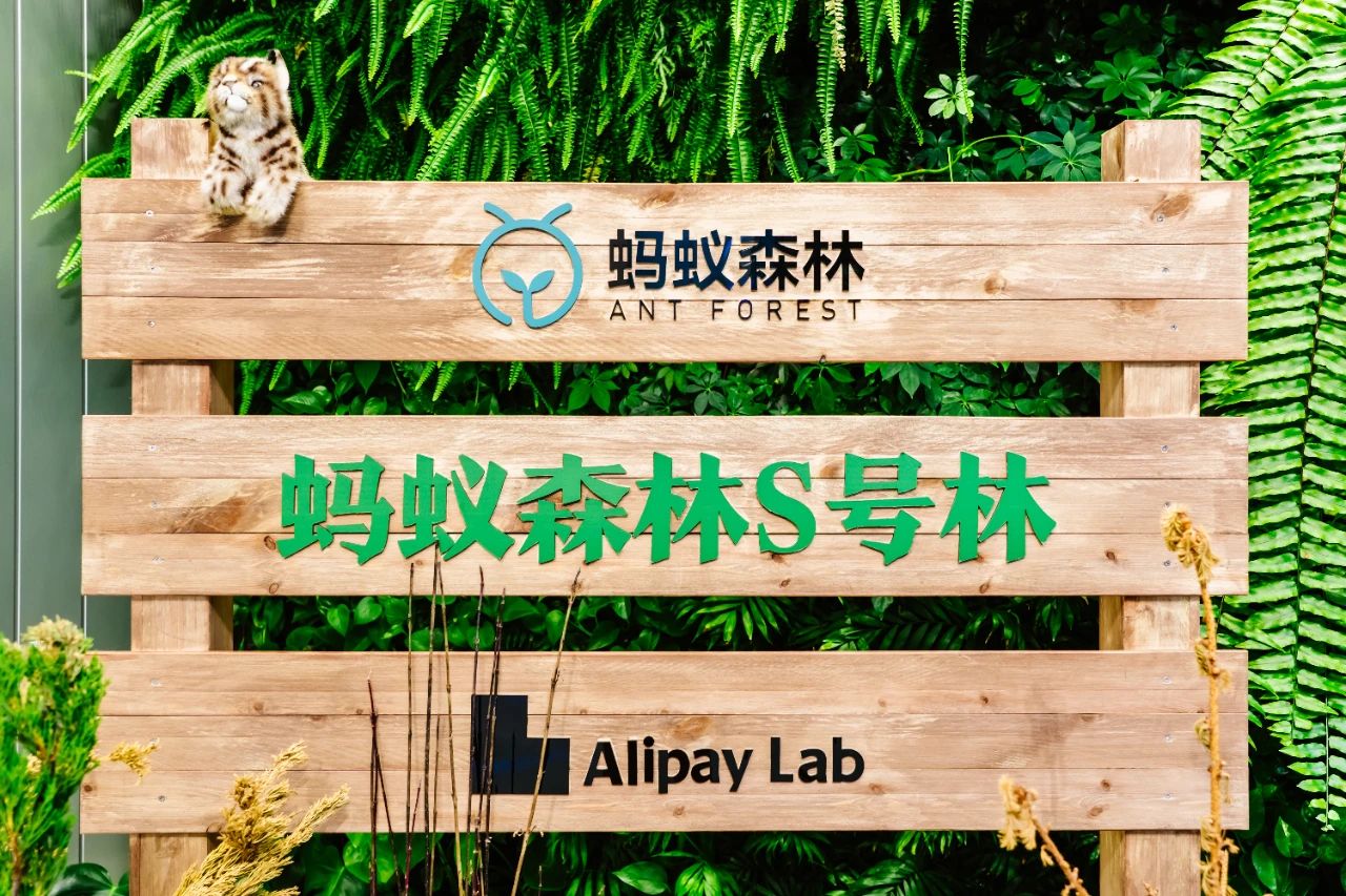 “身边的蚂蚁森林”体验展