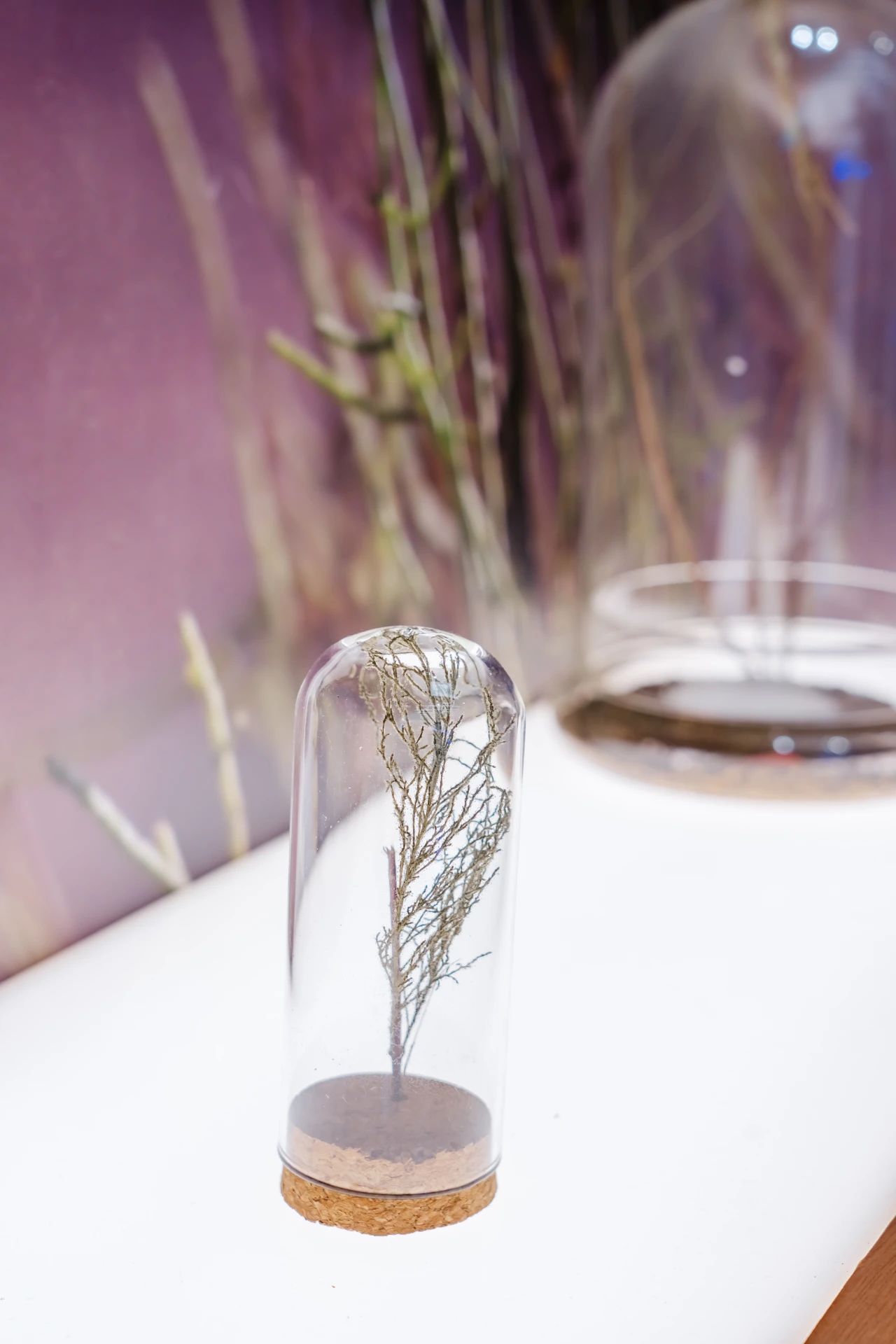 “身边的蚂蚁森林”体验展