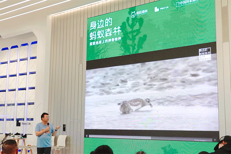 “身边的蚂蚁森林”体验展
