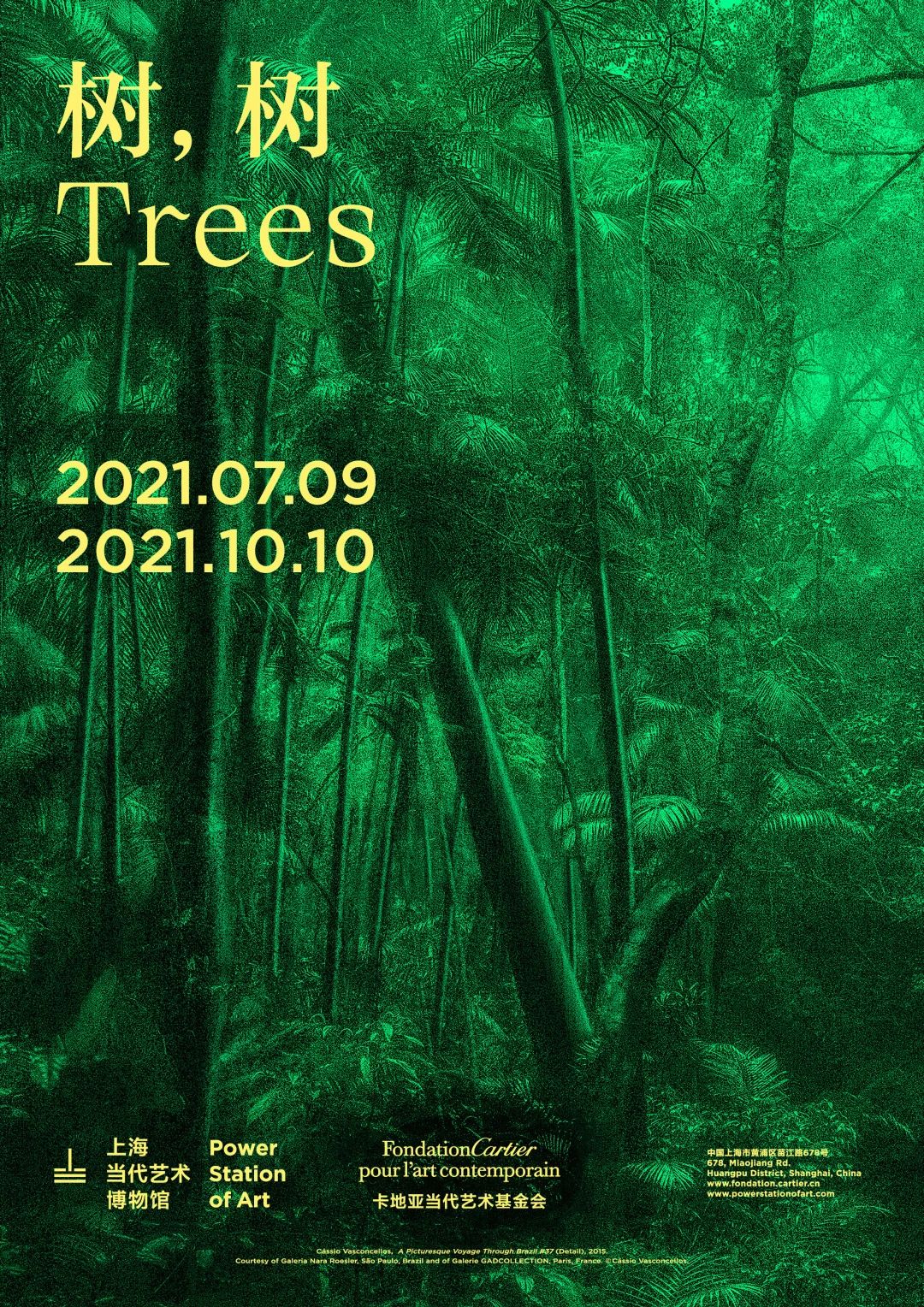「树，树 Trees」艺术展览