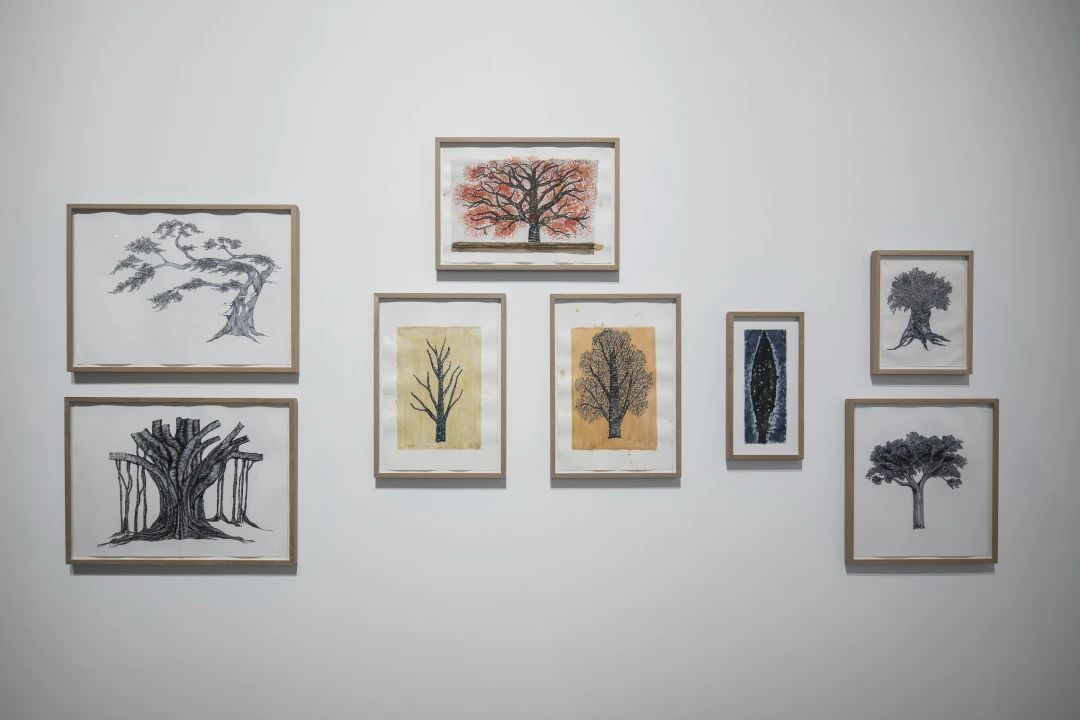 「树，树 Trees」艺术展览