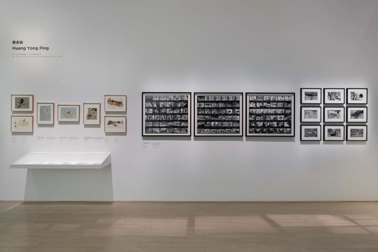 「树，树 Trees」艺术展览