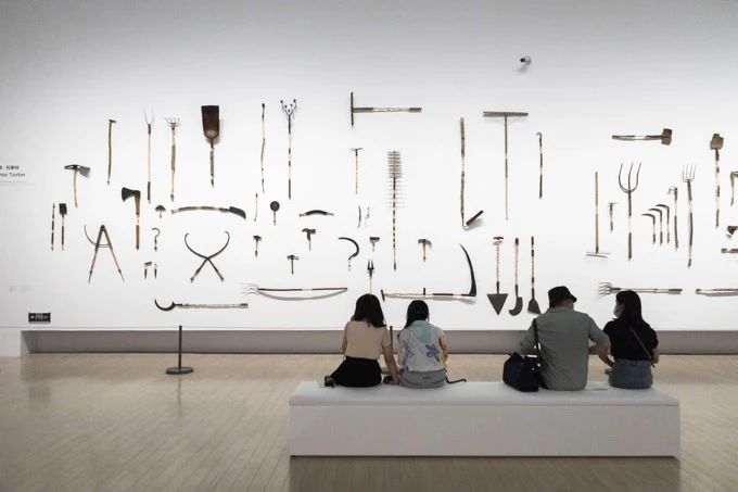 「树，树 Trees」艺术展览