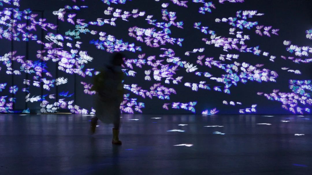 行走的故宫文化--故宫石渠宝笈绘画数字科技展